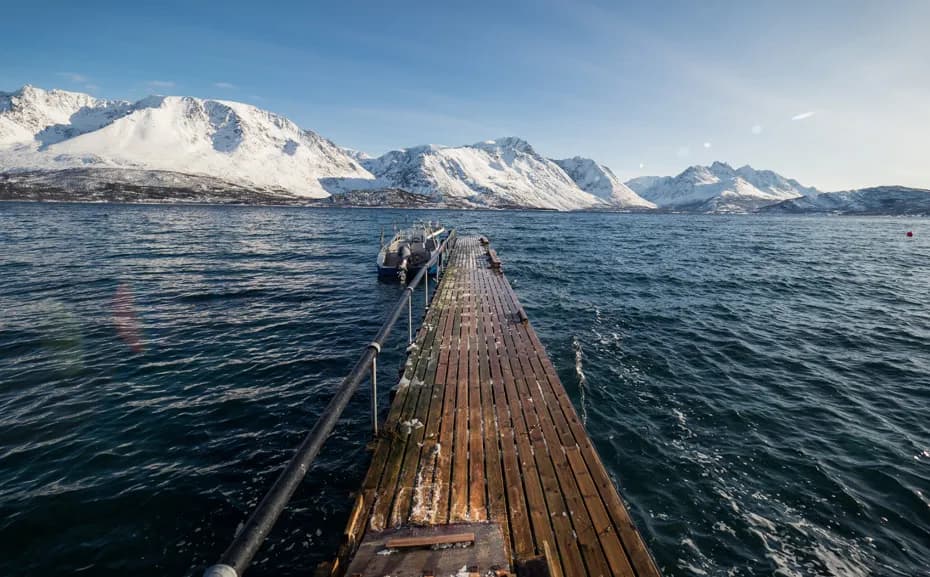 Najlepsze atrakcje w Tromsø, które musisz zobaczyć podczas wizyty