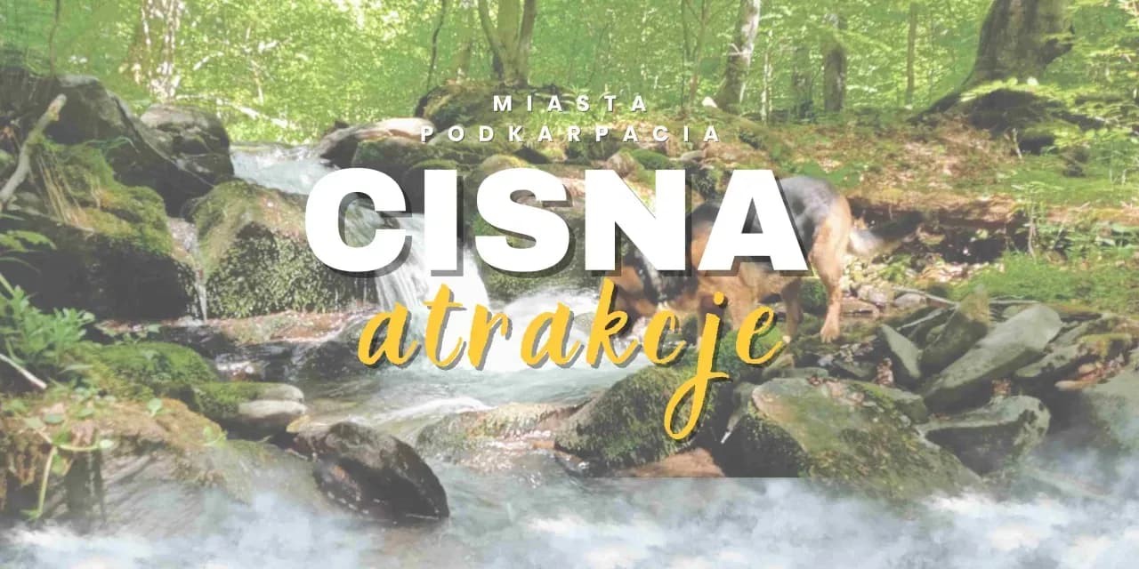 Najlepsze atrakcje w Mariampolu, które musisz zobaczyć podczas wizyty