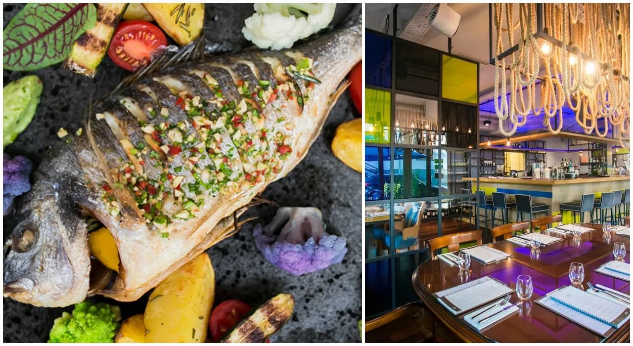 Serock gdzie zjeść – najlepsze restauracje i smaki, które musisz poznać