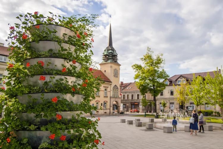 Najlepsze atrakcje w Skawinie, które musisz zobaczyć podczas wizyty