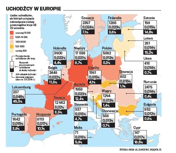 Imigranci w Polsce z jakich krajów pochodzą? Zaskakujące dane i statystyki