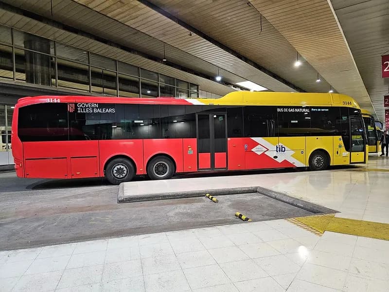 Czy na Majorce jest bezpiecznie? Fakty, które musisz znać przed wyjazdem